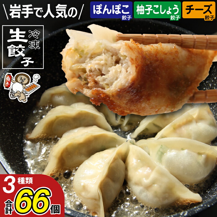 国産 冷凍 生餃子 食べ比べ 3種 計66個 【生餃子専門店ぽんぽこ】