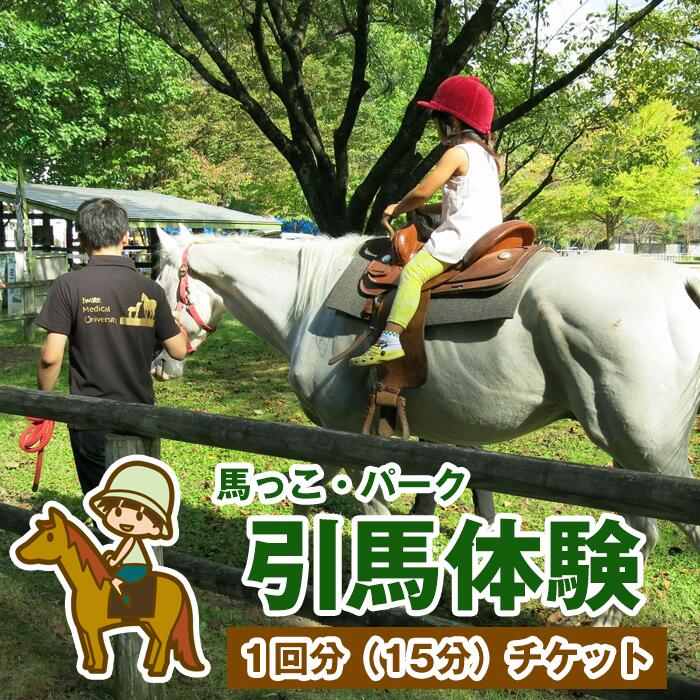 引馬体験 1回分 チケット 【馬っこパーク・いわて】