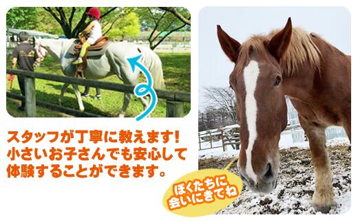 引馬体験 1回分 チケット 【馬っこパーク・いわて】
