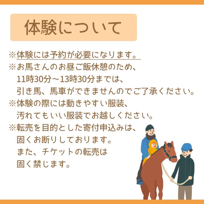 引馬体験 1回分 チケット 【馬っこパーク・いわて】