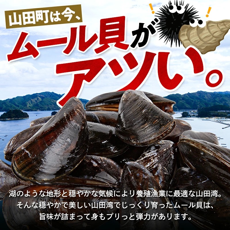 【DayDayで紹介されました！】三陸山田産 山田のムール貝 1kg ケッツラゲーおじさん 振興丸