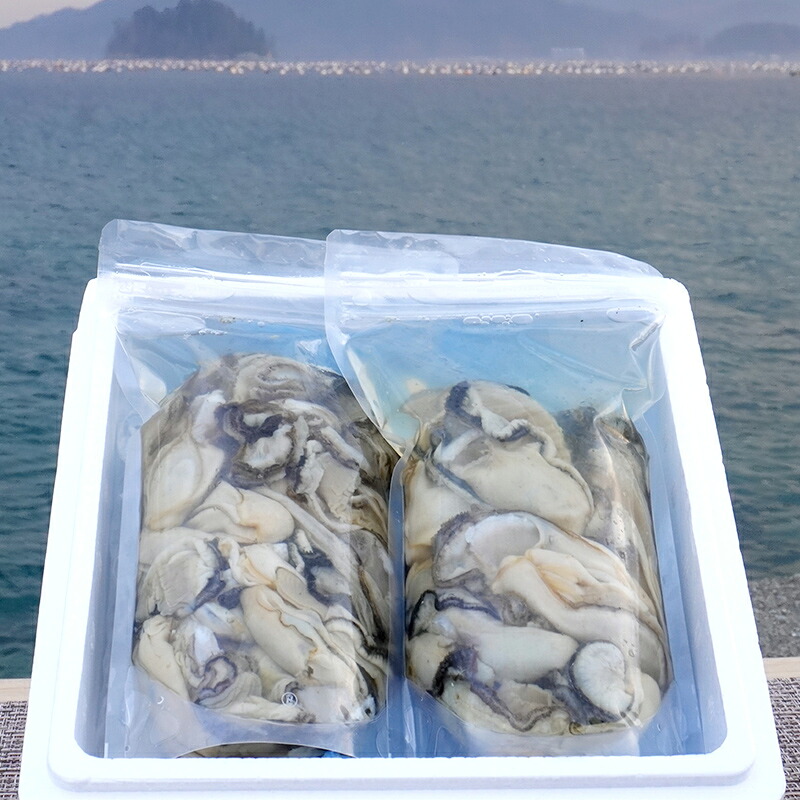 【先行予約】 牡蠣 むき身 牡蛎 400g 選べる容量 明神丸かき・ほたてきち 岩手県 三陸山田 山田町 山田湾 三陸 海産品 カキ かき