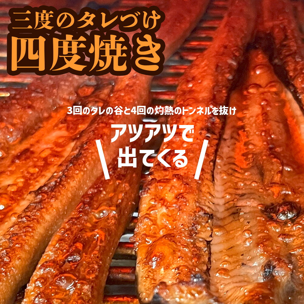 【のし対応可】穴子 蒲焼き 刻み 穴子 800g(80g×10パック) 国産穴子 小分け 冷凍 穴子かば焼き あなご｜sh00004
