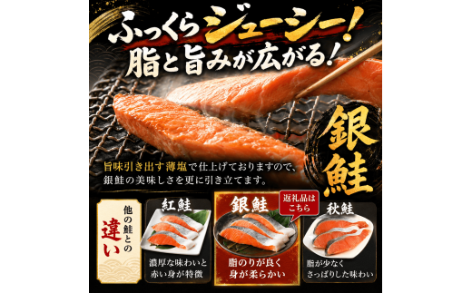 訳あり 鮭 1.4kg 切り身 セット サケ 銀サケ サーモン 冷凍 切身 ハラス カマ 魚 魚介 海産物 大容量 不揃い 業務用 箱 おかず おつまみ 酒の肴 朝食 ごはんのお供 お弁当 弁当