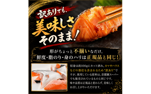 訳あり 鮭 1.4kg 切り身 セット サケ 銀サケ サーモン 冷凍 切身 ハラス カマ 魚 魚介 海産物 大容量 不揃い 業務用 箱 おかず おつまみ 酒の肴 朝食 ごはんのお供 お弁当 弁当