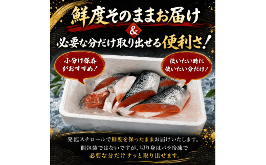 訳あり 鮭 1.4kg 切り身 セット サケ 銀サケ サーモン 冷凍 切身 ハラス カマ 魚 魚介 海産物 大容量 不揃い 業務用 箱 おかず おつまみ 酒の肴 朝食 ごはんのお供 お弁当 弁当
