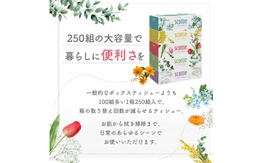 ティッシュ スコッティ 5箱×6パック 合計30箱  ボックスティッシュ フラワーボックス ティッシュペーパー BOXティッシュ 箱ティッシュ 日用品 消耗品 生活用品 常備品 必需品  日本製