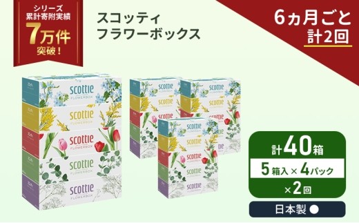 定期便 ティッシュ スコッティ フラワーボックス 40箱 ( 5箱 × 4パック )《 6ヶ月ごと 計  2 回 》  [No.5704-1128]