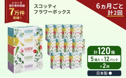 定期便 ティッシュ スコッティ フラワーボックス 120箱 ( 5箱 × 12パック )《 6ヶ月ごと 計  2回 》 [No.5704-1130]