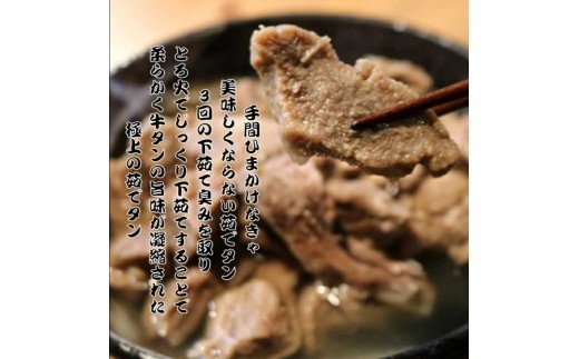 牛タン あっさり塩茹でタン 120g × 10個 出汁 セット タン塩 塩タン 温めるだけ 小分け 冷凍配送 父の日 母の日 敬老の日 プレゼント [No.5704-0879]