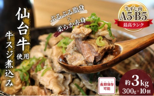 牛すじ 煮込み 3kg ( 300g × 10個 ) セット レトルト 小分け 詰め合わせ 冷凍 和牛 A5 B5 牛丼 肉うどん の具にも ブランド肉 牛スジ 肉 お肉 国産 惣菜 おかず