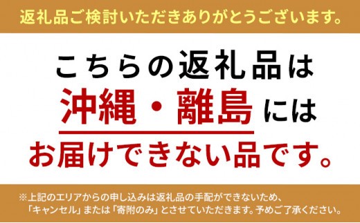 融雪剤 凍結してもササっと安心 2L × 2本 雑貨 日用品 凍結防止 [No.5704-0605]
