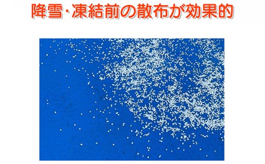 融雪剤 凍結してもササっと安心 2L × 2本 雑貨 日用品 凍結防止 [No.5704-0605]