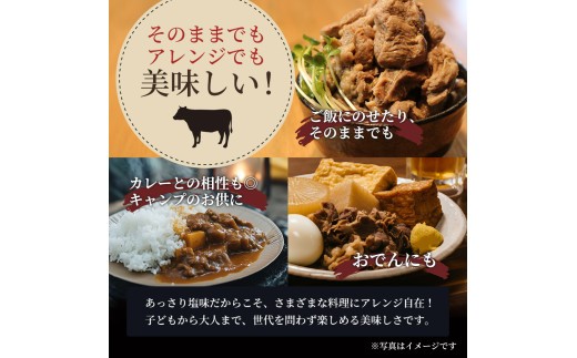 牛すじ 煮込み 300g レトルト 小分け 冷凍 和牛 仙台牛 A5 B5 牛丼 肉うどん 具材 ブランド肉 牛スジ 肉 お肉 国産 惣菜 おかず おつまみ つまみ 酒の肴 居酒屋 晩酌 湯せん