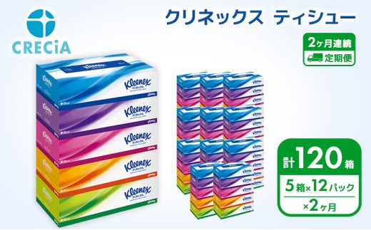 【 定期便 2ヶ月 】 ティッシュ クリネックス 60箱 ( 5箱 × 12パック ) ティッシュ ボックスティッシュ ティッシュペーパー BOXティッシュ 箱ティッシュ 日用品 消耗品 生活用品