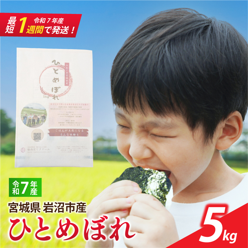【 令和7年産 】 宮城県産 ひとめぼれ 5kg 単品 一等米 すぐ 届く 米 精米 東北米 ふるさと納税 米 お米 白米 国産 宮城県 岩沼市 SD001
