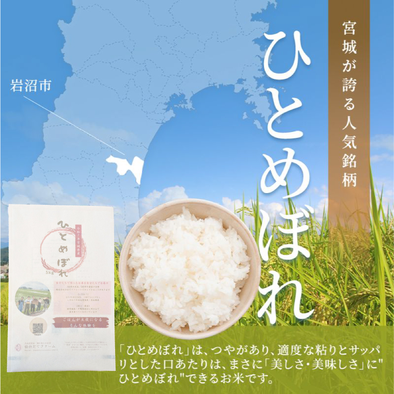 【 令和7年産 】 宮城県産 ひとめぼれ 10kg (5kg×2袋) 単品 一等米 すぐ 届く 米 精米 東北米 お米 白米 コメ ライス ご飯 米10kg 10キロ 国産 宮城県 岩沼市 kome okome お取り寄せ 産地直送 東北 SD002
