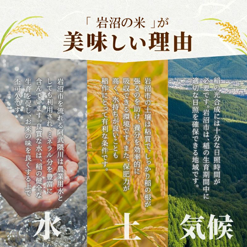 【 令和7年産 】 宮城県産 ひとめぼれ 10kg (5kg×2袋) 単品 一等米 すぐ 届く 米 精米 東北米 お米 白米 コメ ライス ご飯 米10kg 10キロ 国産 宮城県 岩沼市 kome okome お取り寄せ 産地直送 東北 SD002