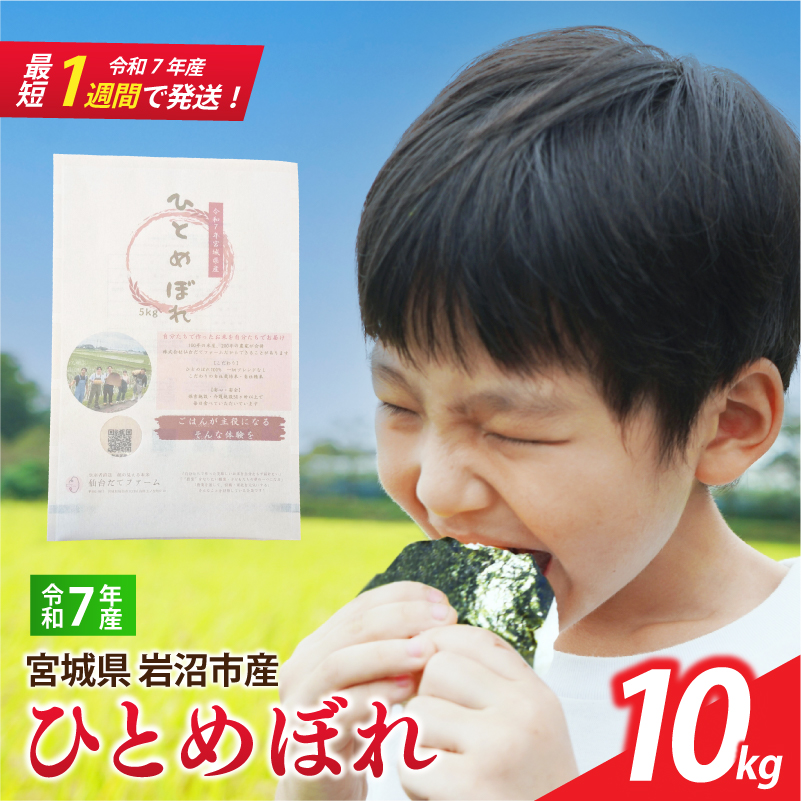 【 令和7年産 】 宮城県産 ひとめぼれ 10kg (5kg×2袋) 単品 一等米 すぐ 届く 米 精米 東北米 お米 白米 コメ ライス ご飯 米10kg 10キロ 国産 宮城県 岩沼市 kome okome お取り寄せ 産地直送 東北 SD002