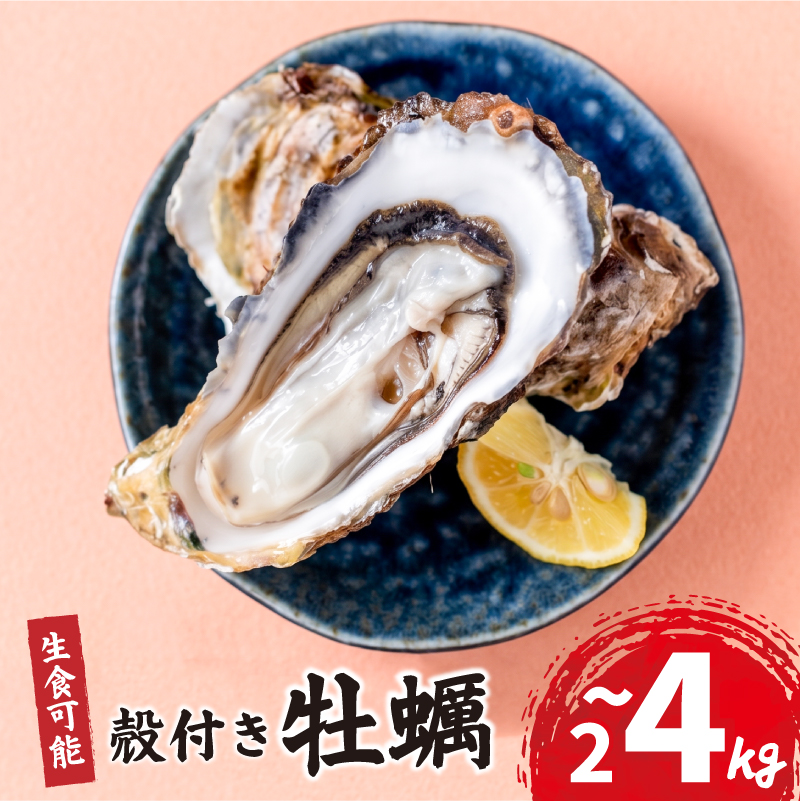 [日時指定可] 宮城県産 殻付き牡蠣 2kg～4kg 冷凍 生食可能 牡蠣 かき