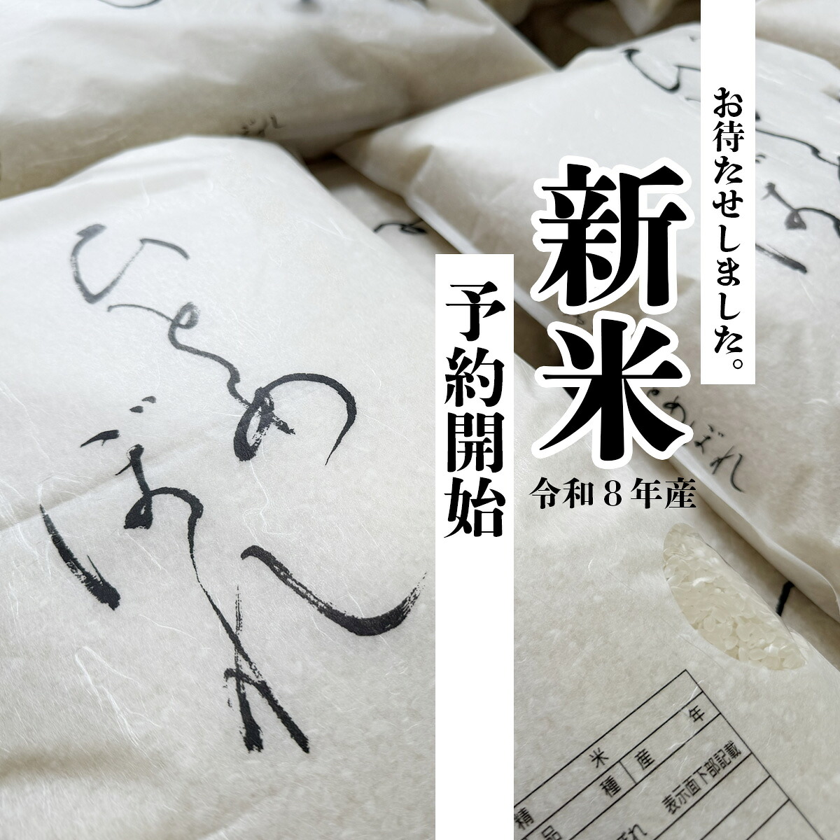 新米 ＼先行予約／ 令和8年産 ひとめぼれ 5kg 精米 米 白米 ごはん 宮城県 大崎市
