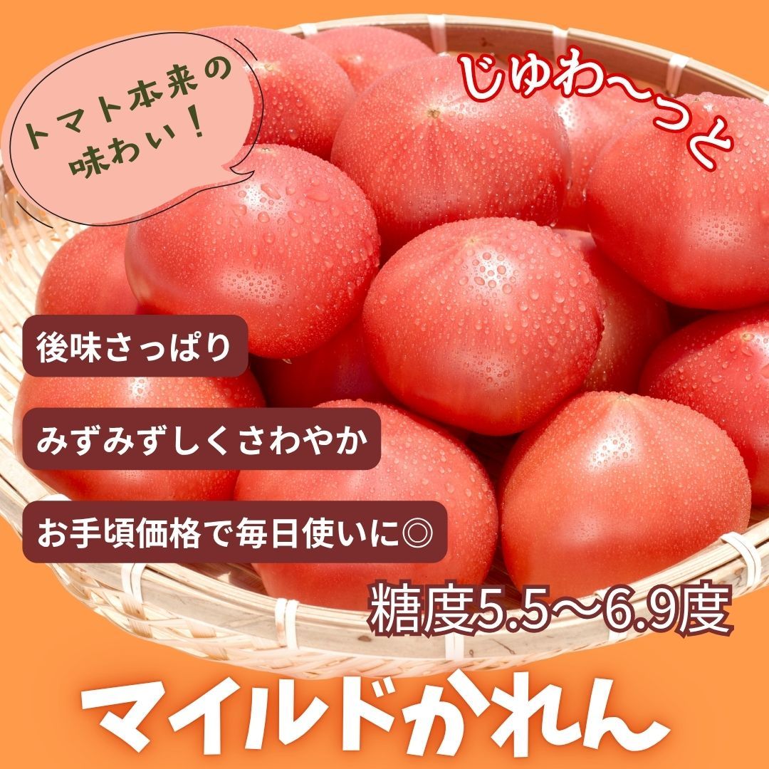 糖度5.5~6.9度のトマト マイルドかれん 4kg | de-karen-4kg