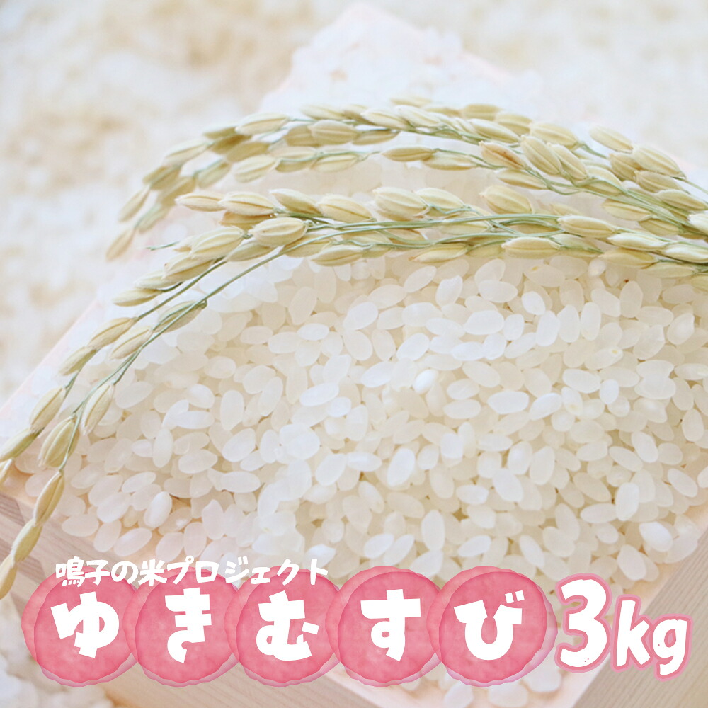 鳴子の米プロジェクト ゆきむすび 3kg【2025年産】 精米 ｜宮城県大崎市鳴子温泉産米