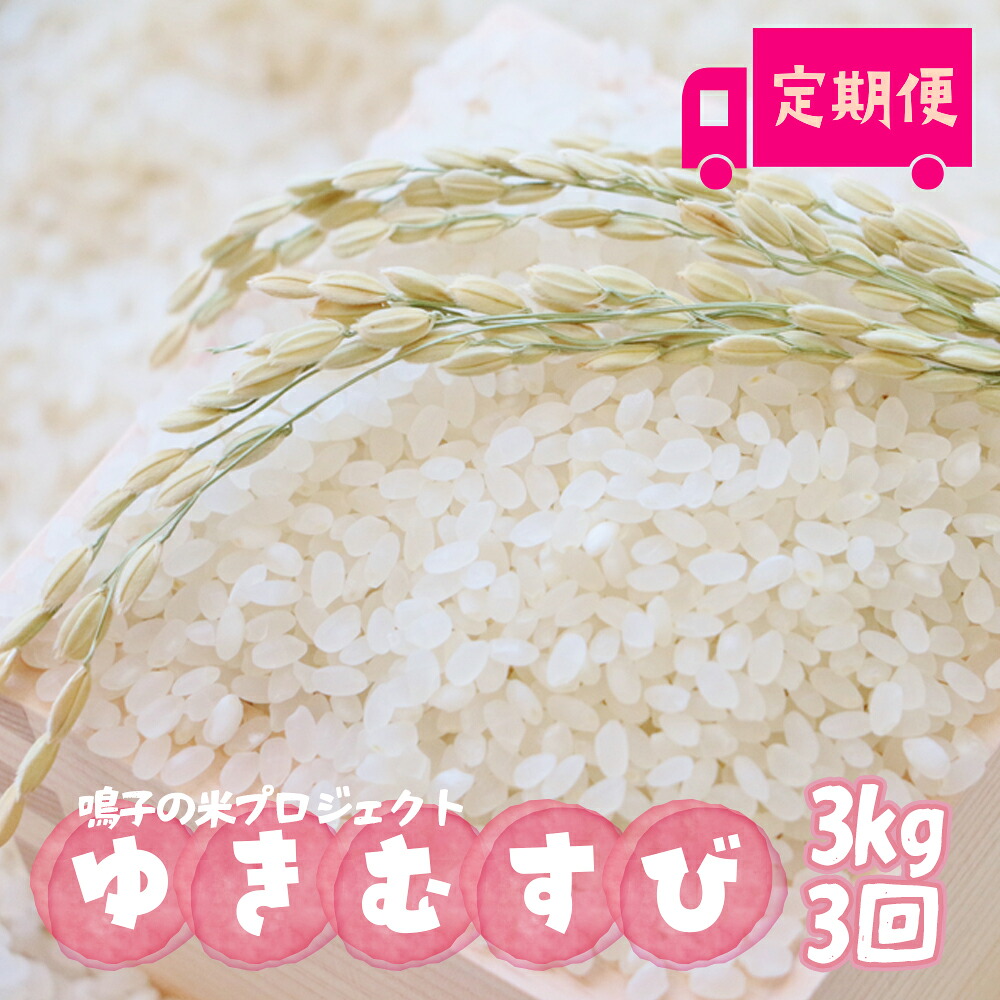 鳴子の米プロジェクト ゆきむすび 3kg×3回 定期便【2025年産】 精米 |宮城県大崎市鳴子温泉産米