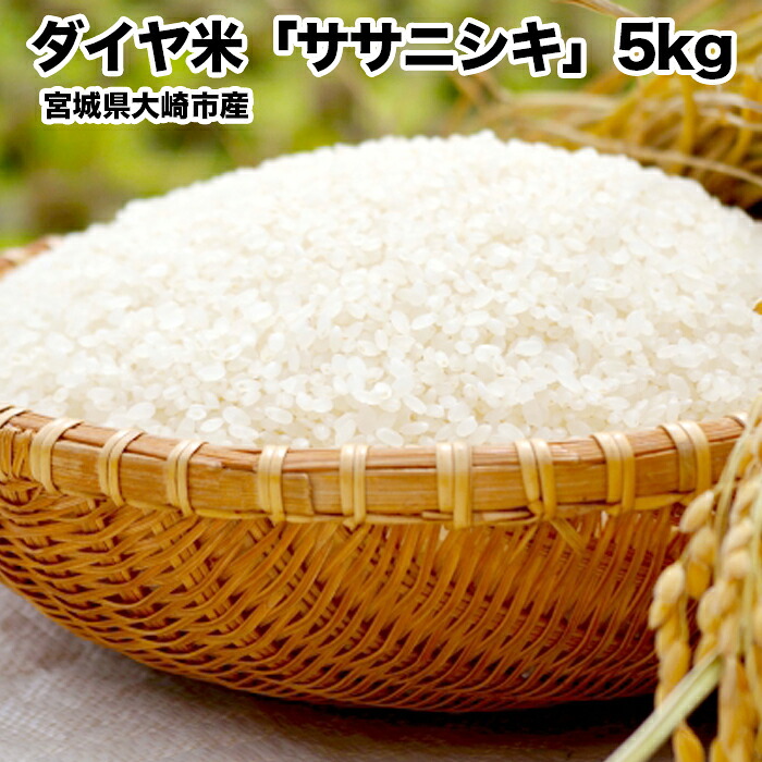 《令和7年産》宮城県大崎市産ササニシキ「ダイヤ米」白米5kg|希少な環境型農業ブランド米・精米済・ご飯に最適【ふるさと納税返礼品】