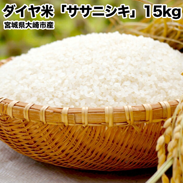《令和7年産》宮城県大崎市産ササニシキ「ダイヤ米」白米15kg|希少な環境型農業ブランド米・精米済・ご飯に最適【ふるさと納税返礼品】