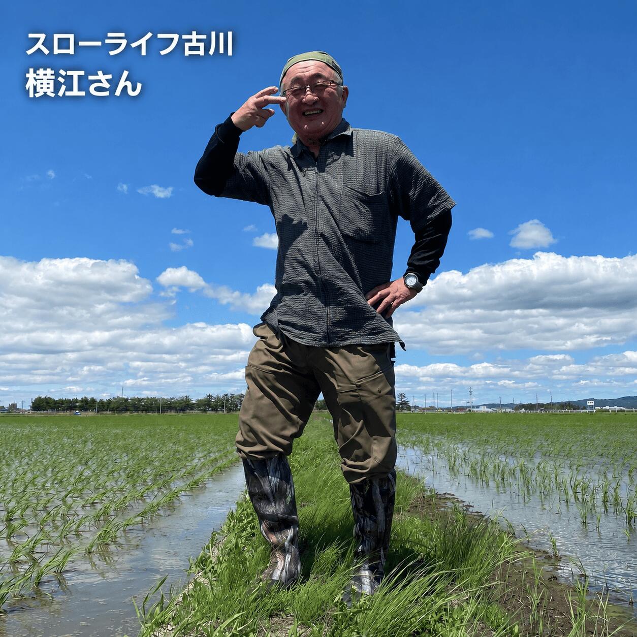 《精米》宮城県大崎市産 有機肥料低農薬栽培米 ササニシキ5kg【2024年産】|幻の米【1袋】