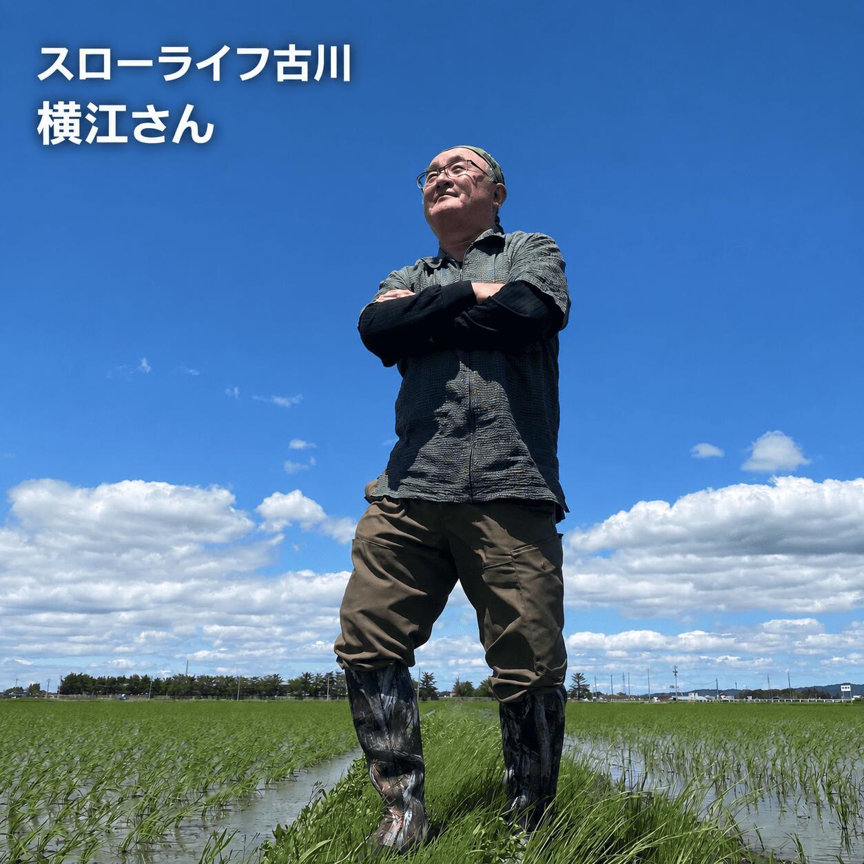 《精米》宮城県大崎市産 有機肥料低農薬栽培米 ササニシキ10kg【2024年産】|幻の米【1袋】