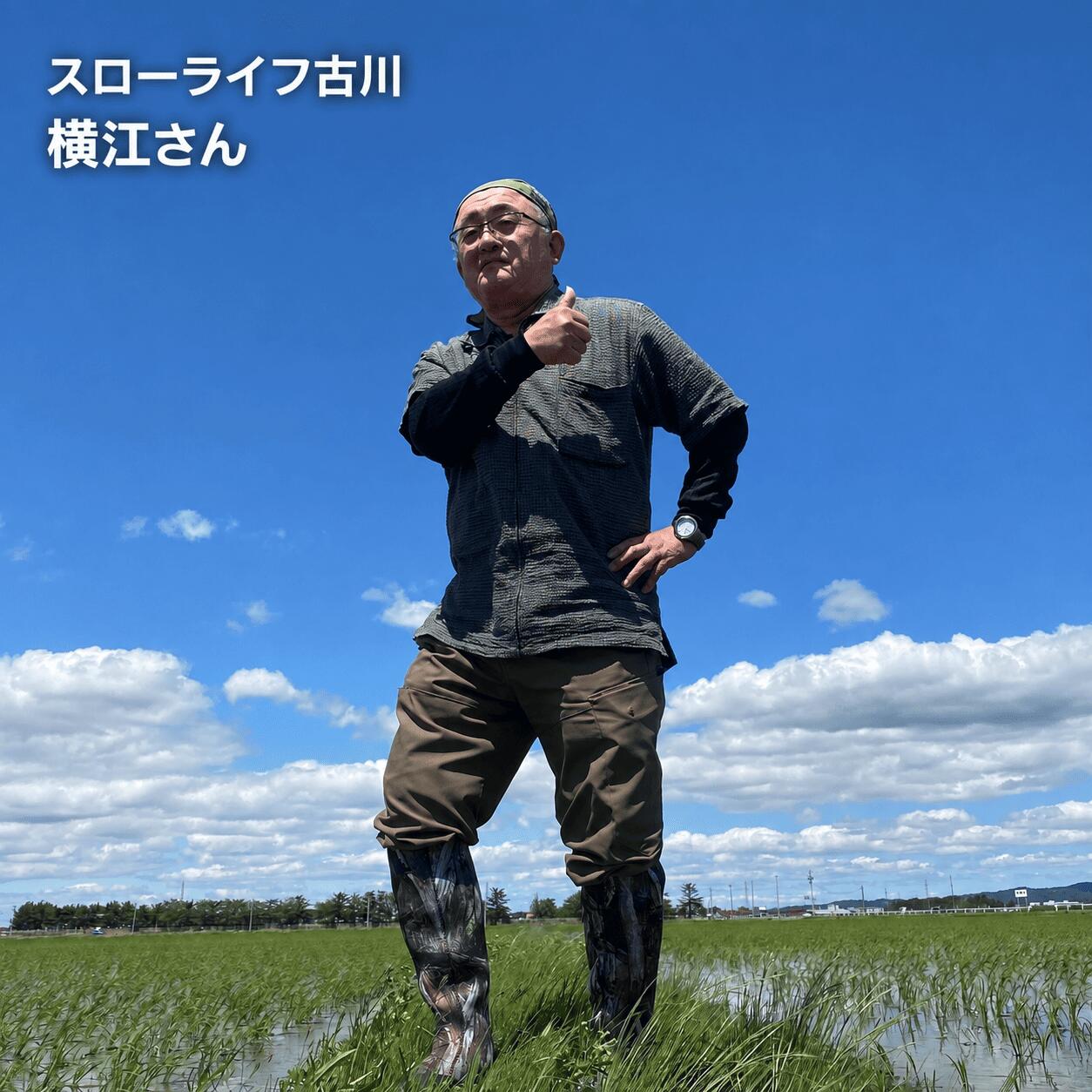 《精米》宮城県大崎市産 有機肥料低農薬栽培米 ササニシキ10kg【2024年産】|幻の米【1袋】