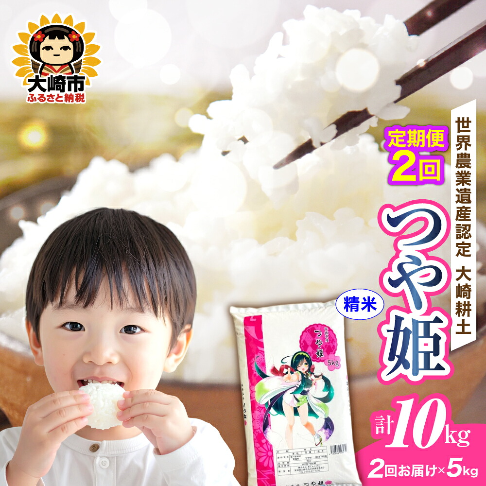 定期便《精米》令和7年 宮城県産 つや姫 5kg×2回（計10kg）