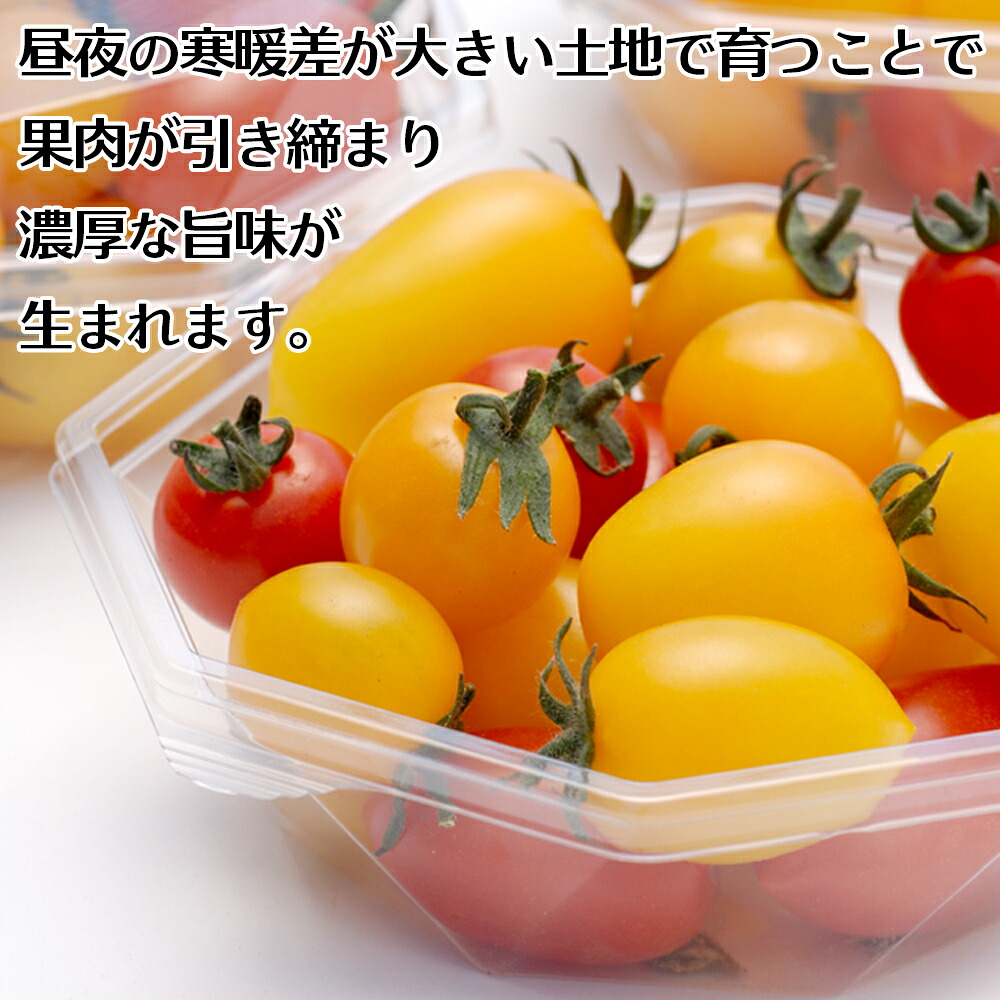 甘みがぎゅっと詰まった 宮城県大崎市鹿島台産 彩りミニトマト詰合せ 2kg