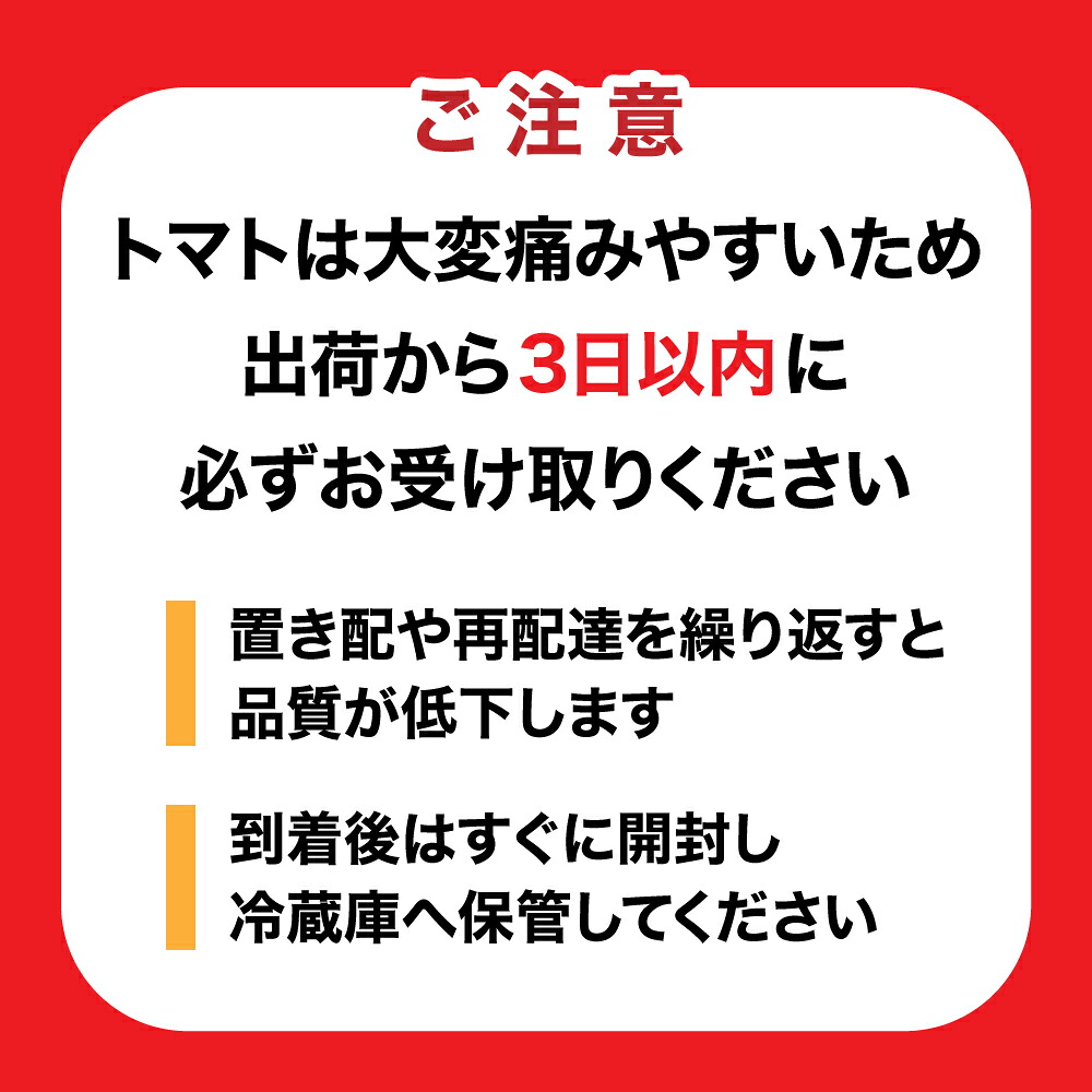 甘みがぎゅっと詰まった 宮城県大崎市鹿島台産 彩りミニトマト詰合せ 2kg