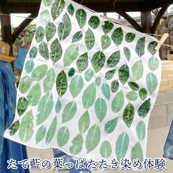 (06903)たで藍の葉っぱたたき染め体験