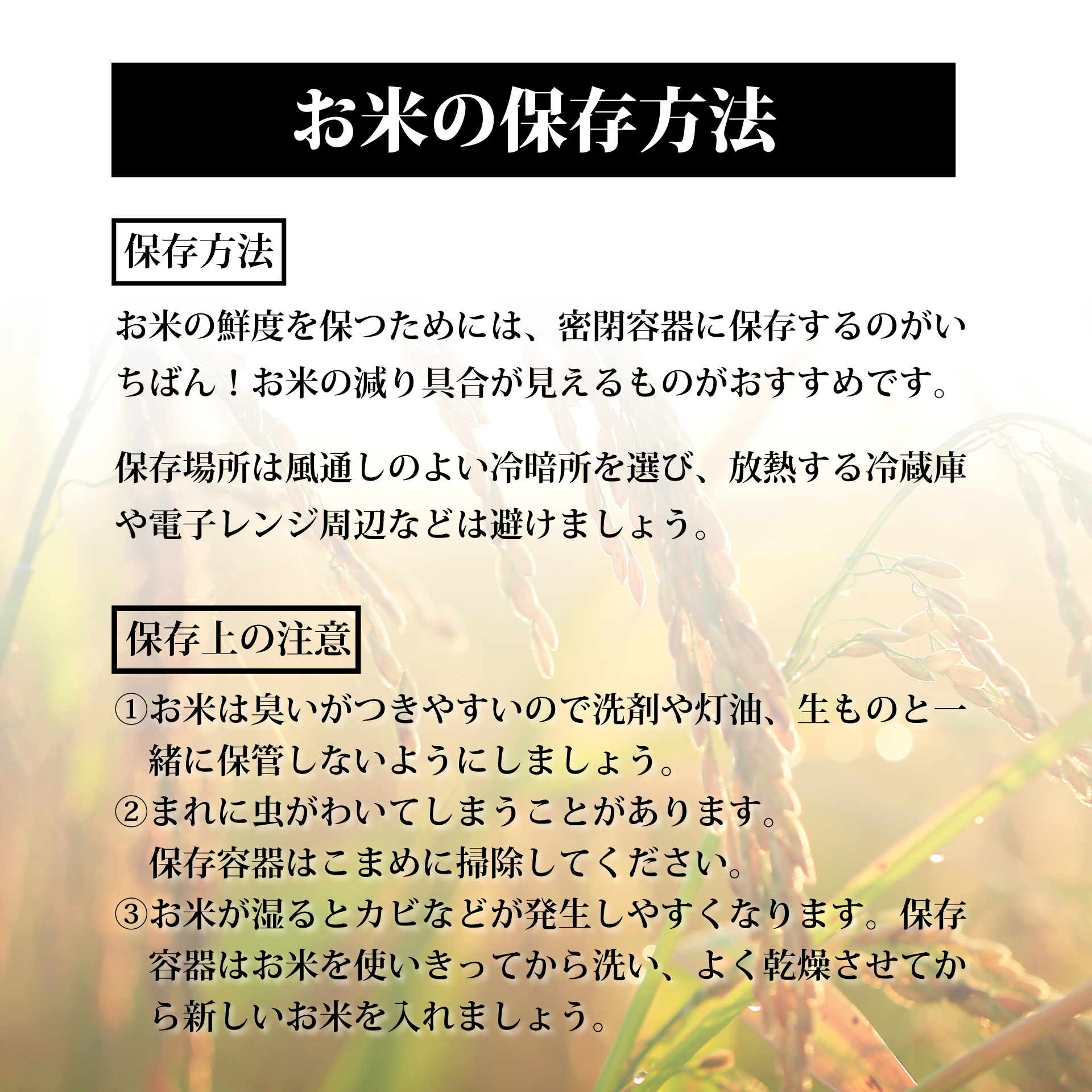 【定期4回】《精米》令和8年宮城県大崎市産 ひとめぼれ 5kg*4回 |tm-htm-5kg-r8-t4