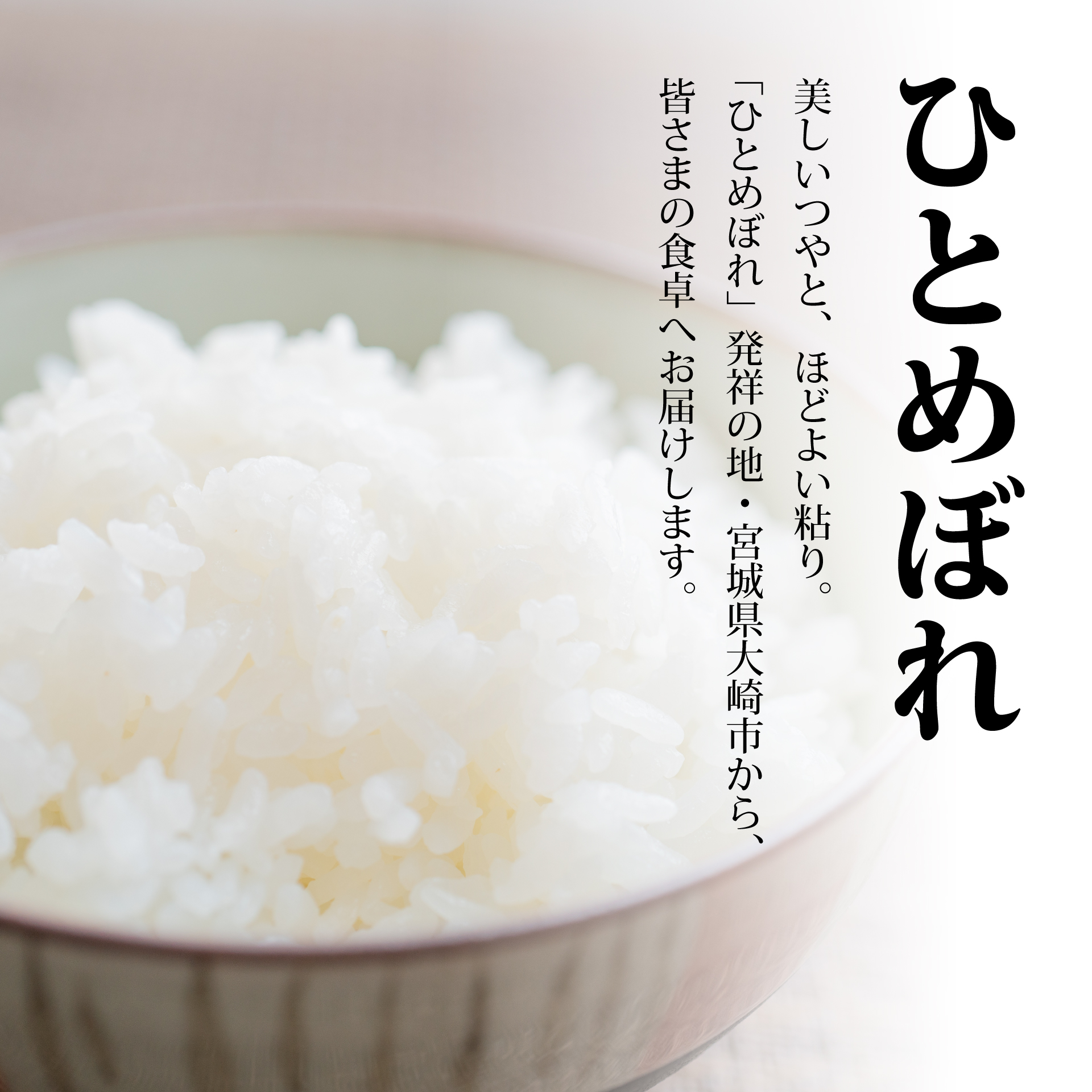 【定期2回】《精米》令和8年宮城県大崎市産 ひとめぼれ 10kg*2回 |tm-htm-10kg-r8-t2