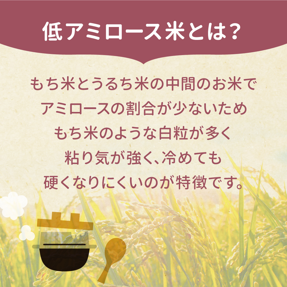 【令和8年産】宮城県大崎市産 ゆきむすび 5kg｜sg001-5kg-r8　鳴子温泉地域で育ったふっくら・もちもち・冷めても美味しい希少米