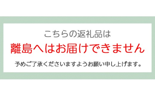 ドローン 国家ライセンス (1.2等共通) 限定変更 夜間 [0278]