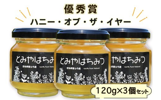 2026年採蜜 とみやはちみつ 120g×3個セット｜令和8年 国産 富谷 蜂蜜 はちみつ ハチミツ 瓶 [0283]