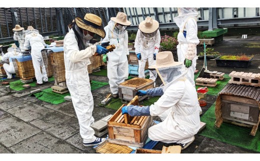 2026年採蜜 とみやはちみつ 120g×3個セット｜令和8年 国産 富谷 蜂蜜 はちみつ ハチミツ 瓶 [0283]