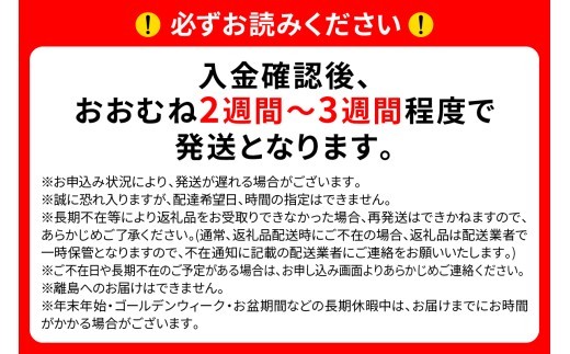 《仙台名物》味の牛たん喜助 牛たん オニオンソース ハンバーグ (200g×10パック) [0322]