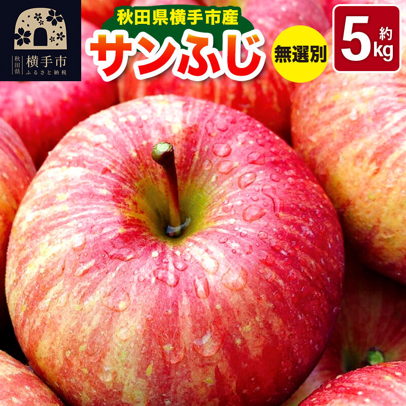 《先行受付！12月上旬より順次発送》秋田県横手市産 サンふじ りんご 無選別 約5kg [先行予約 りんご サンふじ] |04_aka-310301