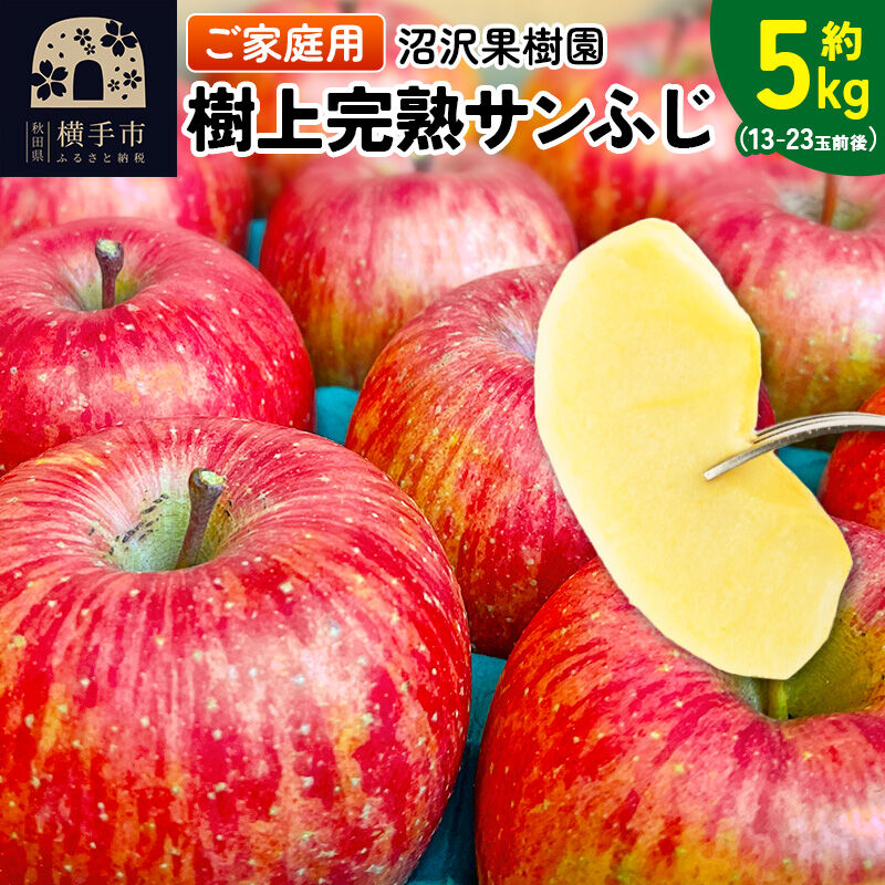 【先行受付】12月上旬より発送 樹上完熟サンふじ ご家庭用 約5kg（13～23玉前後） [先行予約 サンふじ サンフジ 林檎 リンゴ 家庭用 不揃い おまかせ 【りんご】特集] |04_nwk-010501