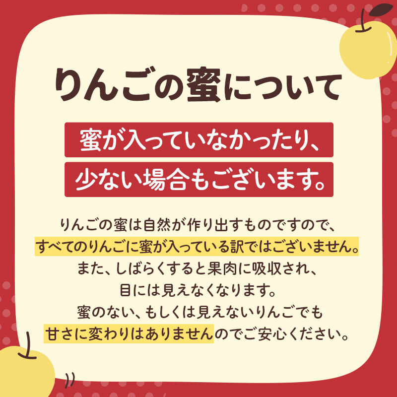 【先行受付】12月上旬より発送 樹上完熟サンふじ ご家庭用 約5kg（13～23玉前後） [先行予約 サンふじ サンフジ 林檎 リンゴ 家庭用 不揃い おまかせ 【りんご】特集] |04_nwk-010501