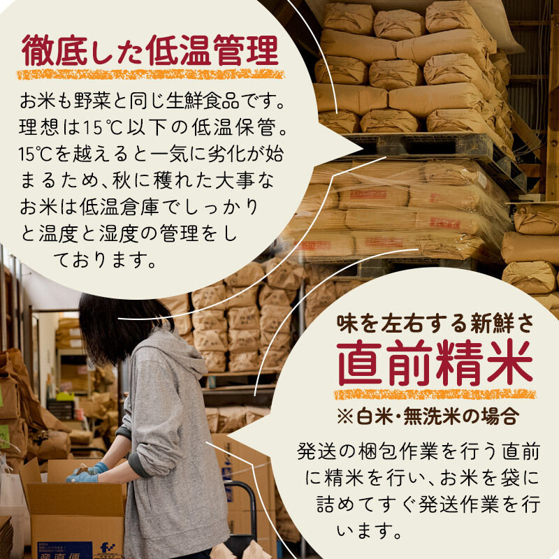 《1回のみお届け》令和7年産 【無洗米】通算5回特A 秋田県産ひとめぼれ 25kg(5kg×5袋) 配送時期選べる お米 米 こめ 藤岡農産 [米 無洗米 白米 特A 精米 秋田県 東北 お米 ひとめ… |08_fon-3x2501m