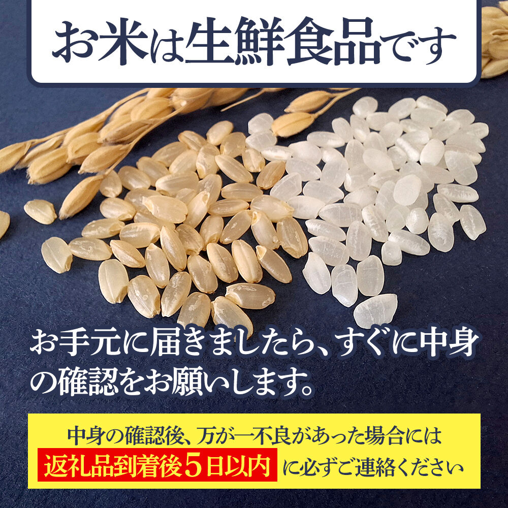【白米】＜令和8年産 新米予約＞ 《定期便3ヶ月》秋田県産 あきたこまち 10kg (5kg×2袋)×3回 10キロ お米 匠  [サンファーム西木「米10kg 」米 10kg 米　10kg定期便 お… |02_snk-010603