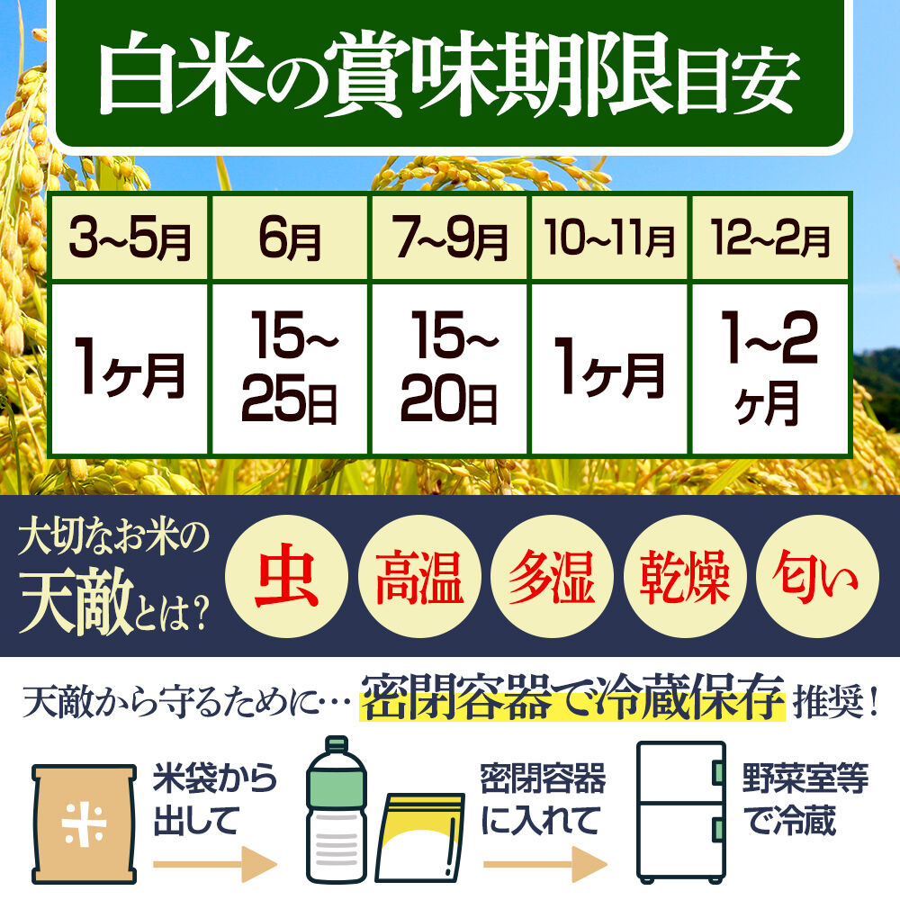 【無洗米】<令和8年産 新米予約>秋田県産 あきたこまち 10kg (5kg×2袋) 10キロ お米 匠 [サンファーム西木「米10kg 」米 10kg 米 10kg 無洗米 あきたこまち ごはん 米… |02_snk-030601